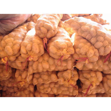 Chinese Golden Yellow Fresh Potato